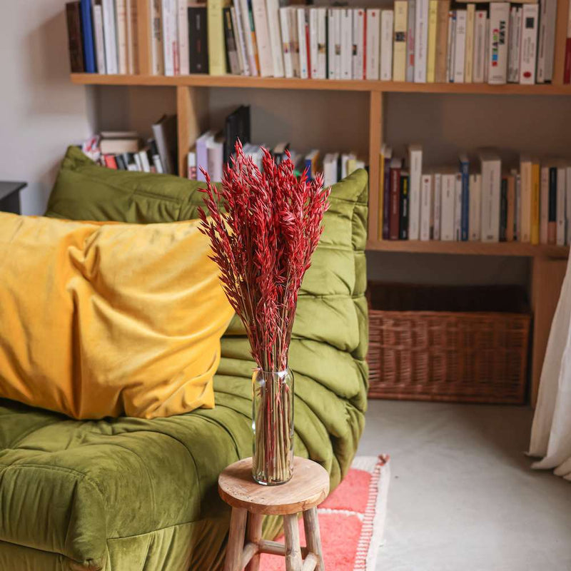 avoine-seche-rouge-flowrette