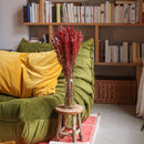 avoine-seche-rouge-flowrette