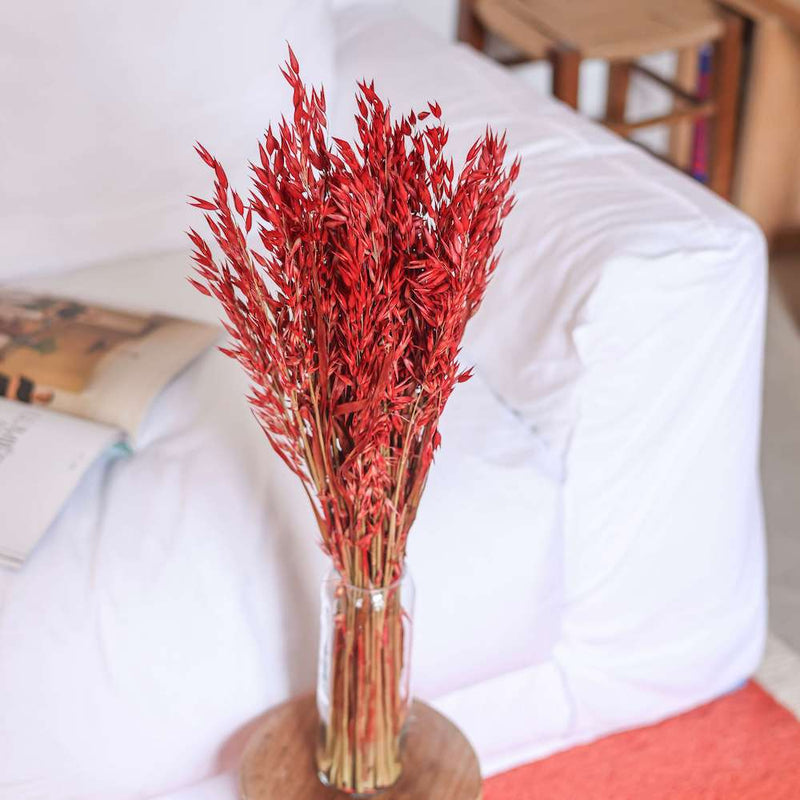 avoine-seche-rouge-flowrette