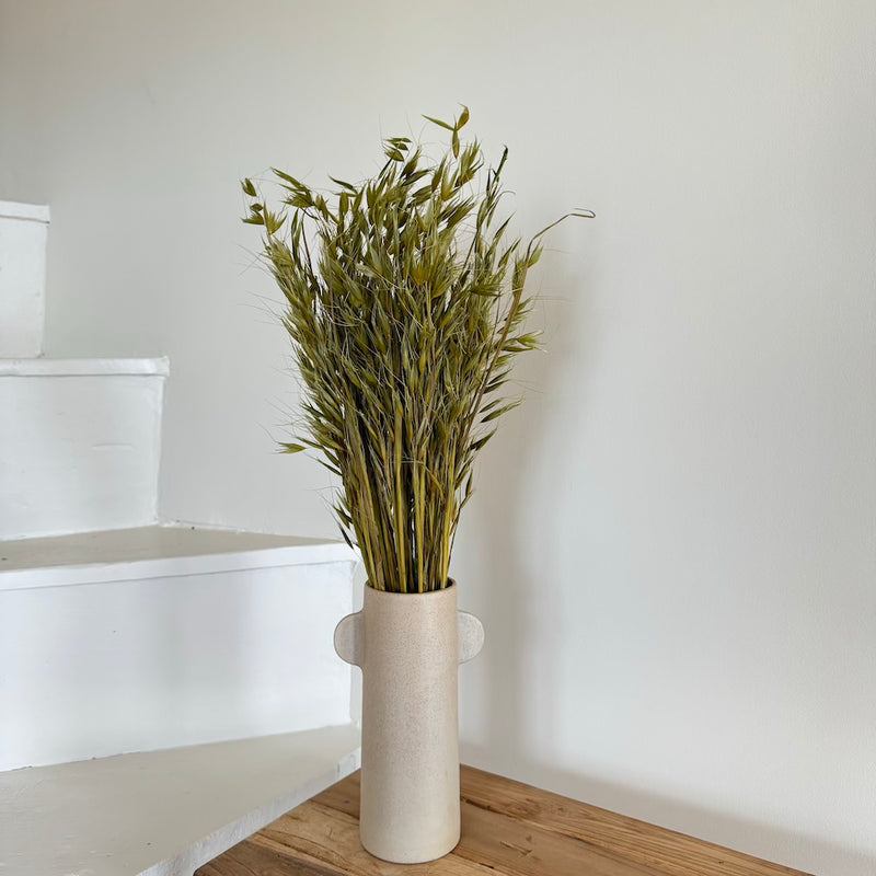 Botte fleurs séchées Avoine Vert olive