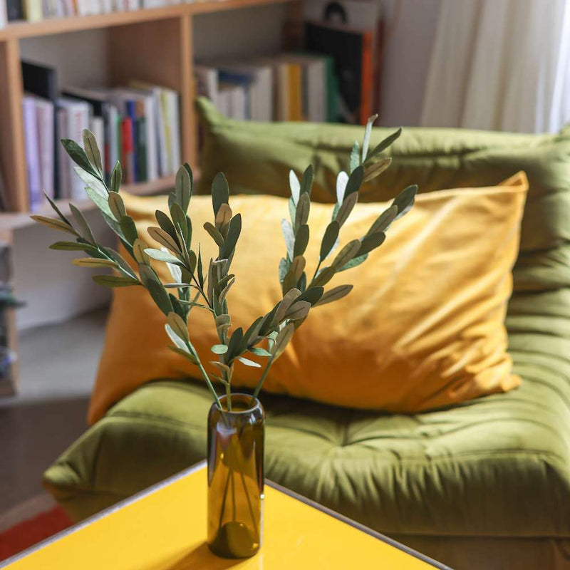 olivier-papier-vert-melanger