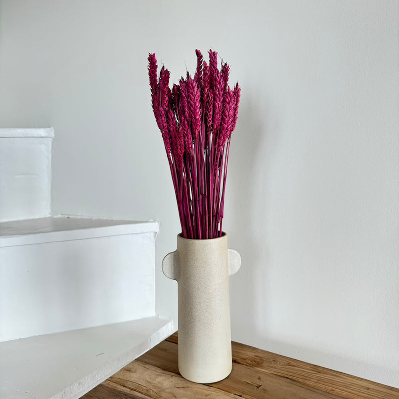 Botte fleurs séchées Blé Bordeaux