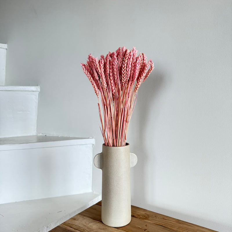 Botte fleurs séchées Blé Vieux rose