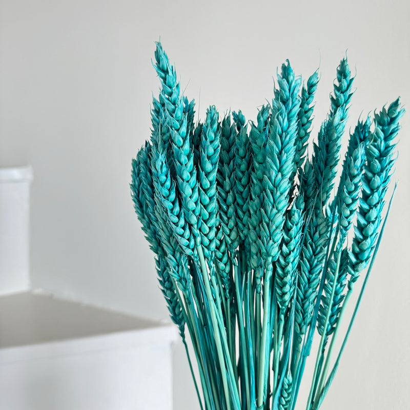Botte fleurs séchées Blé Turquoise