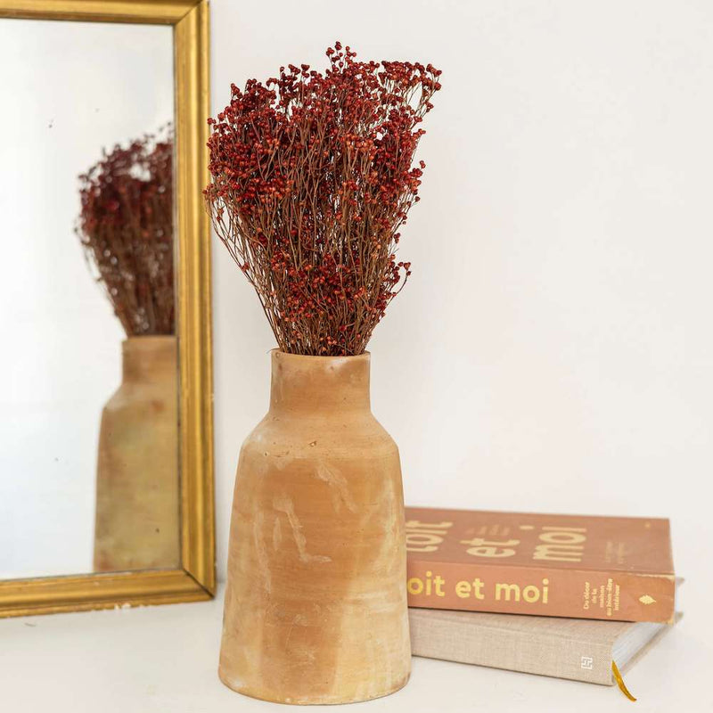 broom-bloom-rouge-botte-seche