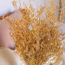 botte-limonium-jaune