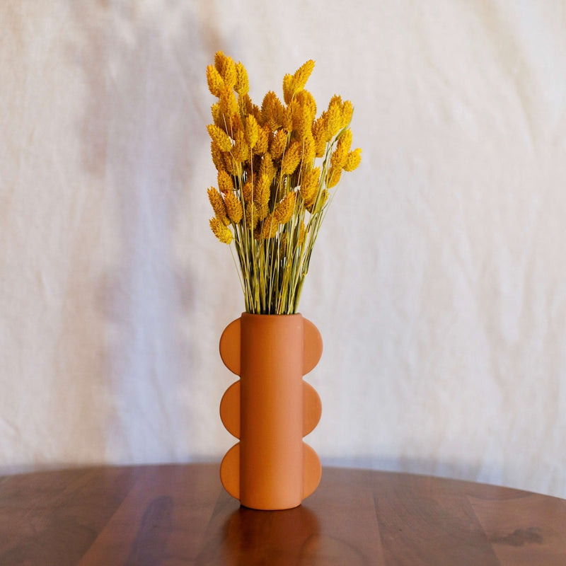 Safran phalaris boot