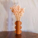 Botte lagurus pêche