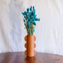 Gasolina de bota de Phalaris azul