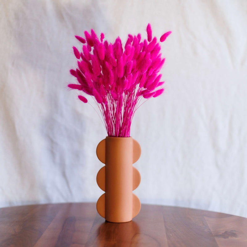 Bota de la lagurus fucsia