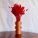 Bota de lagurus roja