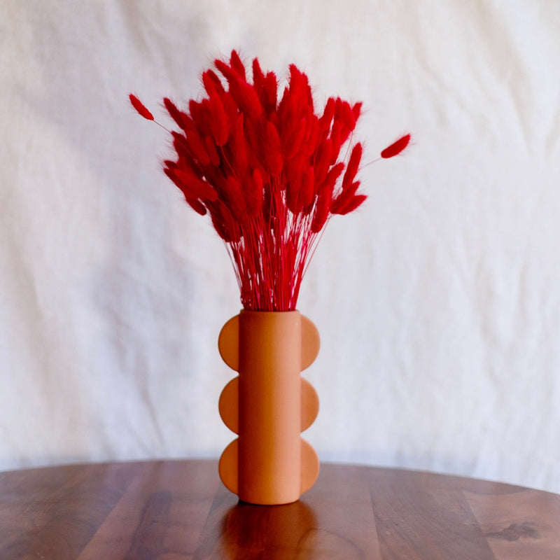 Bota de lagurus roja