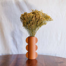 Escoba escoba floración natural