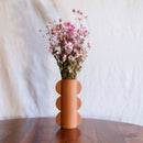 Botte de rhodante rose