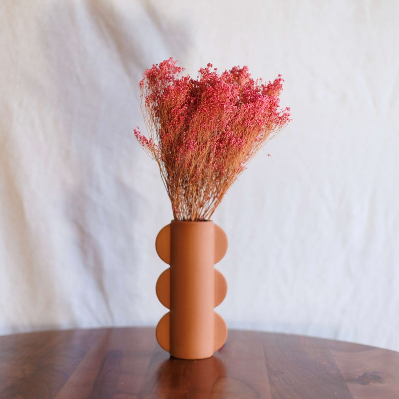 Escoba escoba bloom rosa