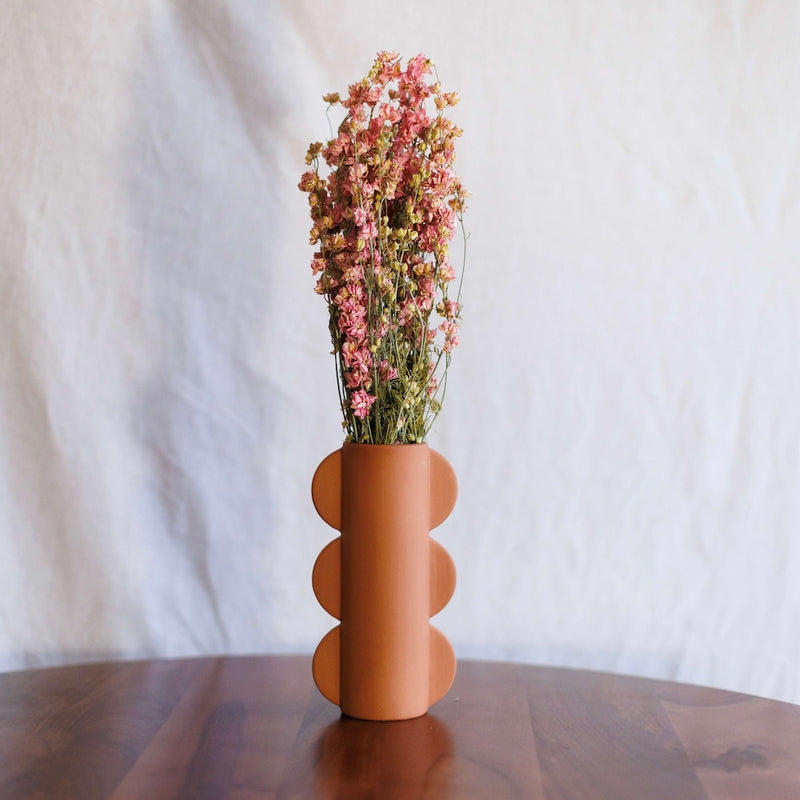 Bota de delfinio rosa