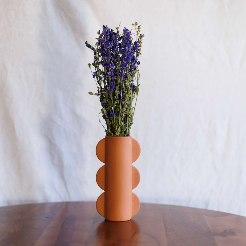 Bota azul de Delphinium