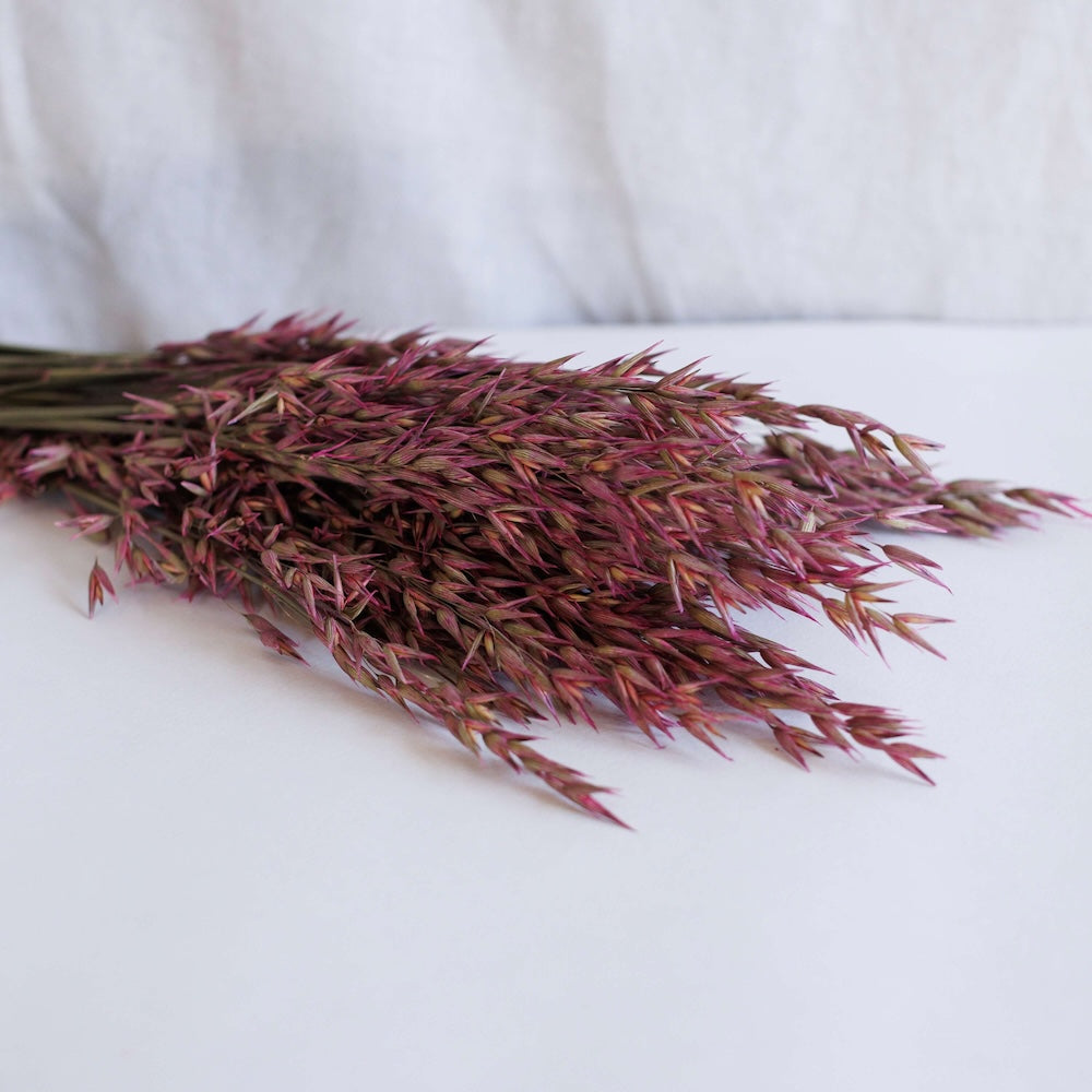 Bota de avena rosa oscuro