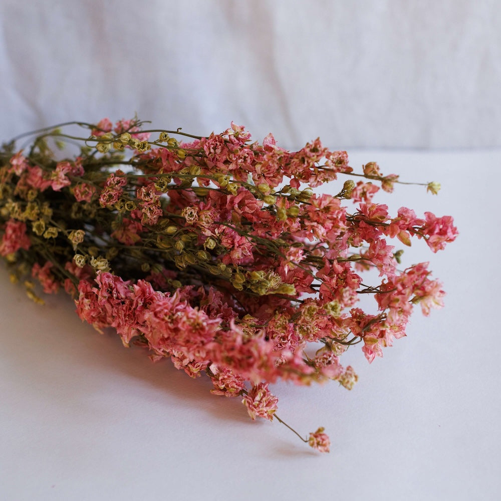 Bota de delfinio rosa