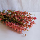 Bota de delfinio rosa