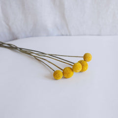 Yellow craspedas boot