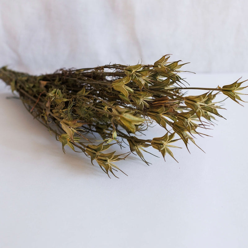 Bota de oriental natural natural