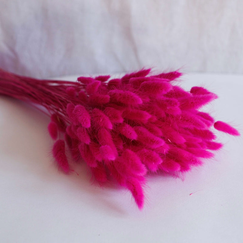 Bota de la lagurus fucsia