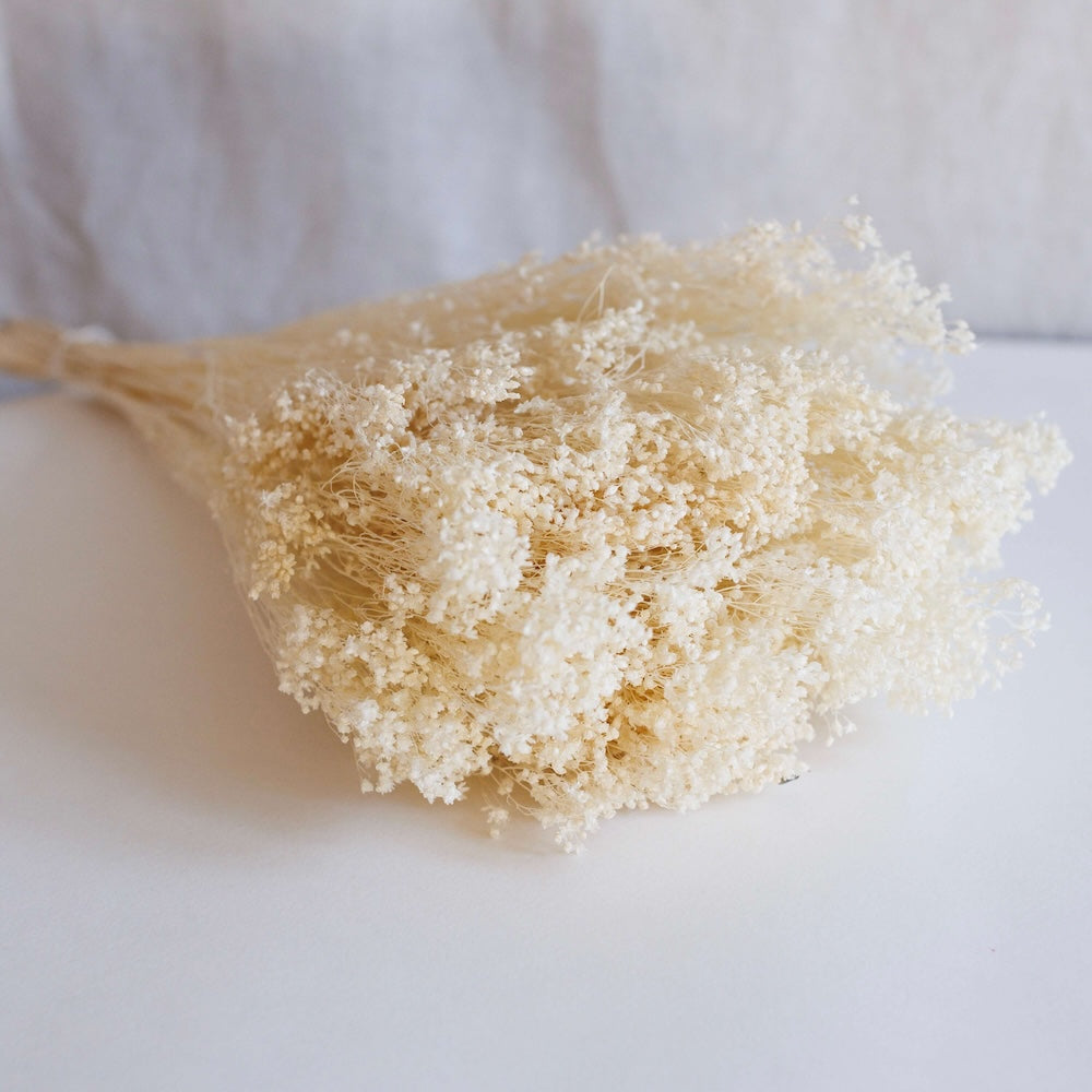 Bota de escobas de escoba blanca