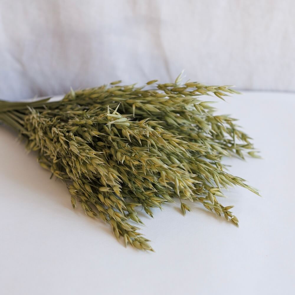 Bota de avena verde natural