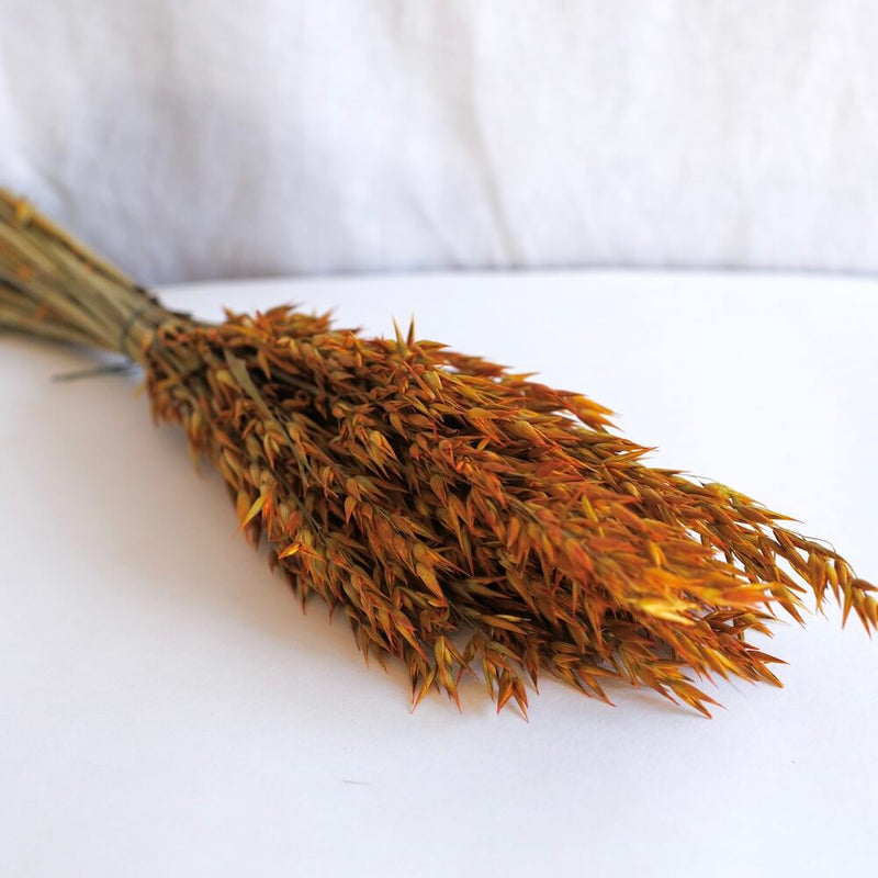 Bota de avena naranja