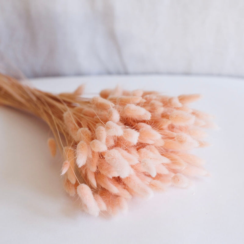 Bota de lagurus rosa pastel