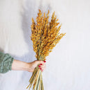 Bota de avena naranja