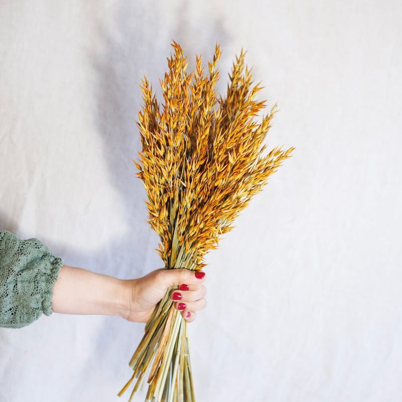 Bota de avena naranja