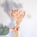 Bota de lagurus rosa pastel