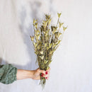 Bota de oriental natural natural