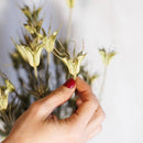 Bota de oriental natural natural