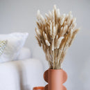 Botte Lagurus séchés naturels