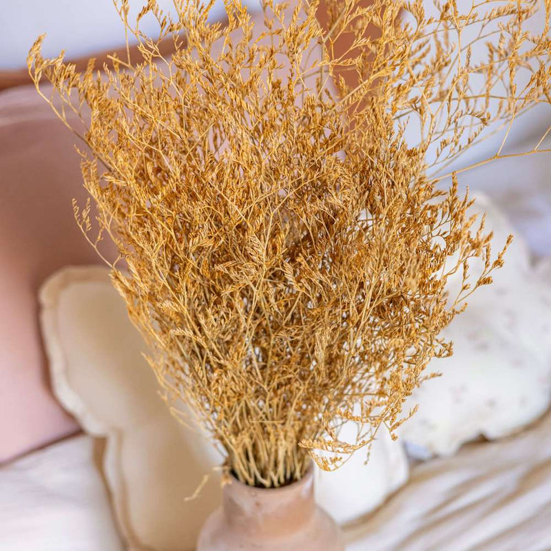 botte-limonium-jaune