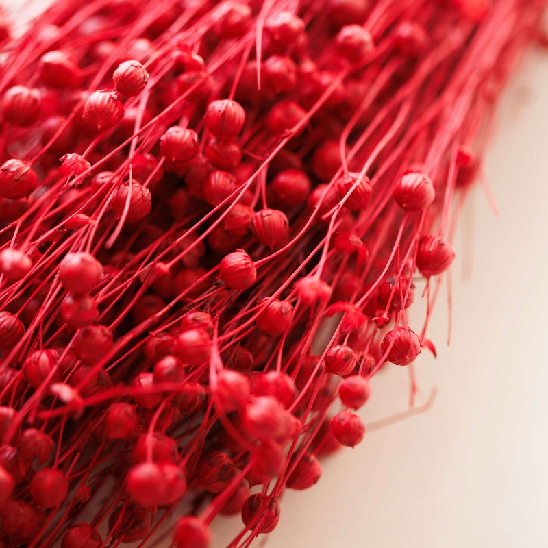 Botte fleurs séchées Lin Rouge