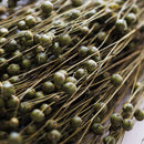 Botte fleurs séchées Lin Vert olive