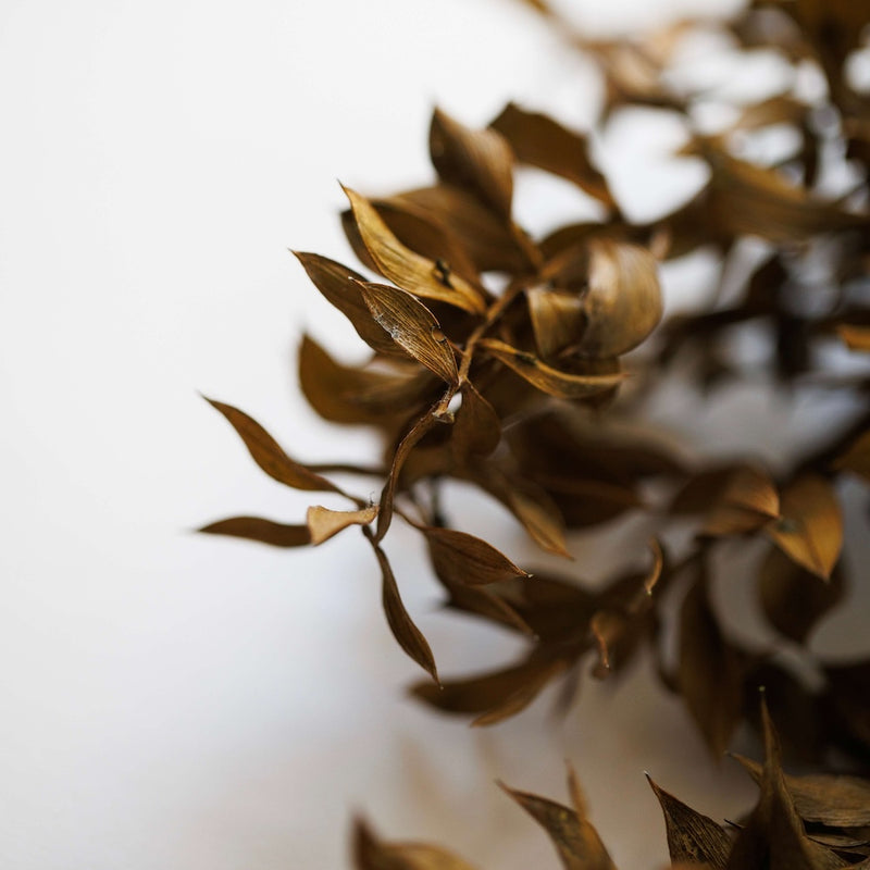 Botte fleurs stabilisées Ruscus Vert olive