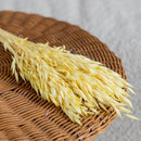 bottes-fleurs-sechees-flowrette-coloree-avoine-jaune