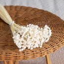 bottes-fleurs-sechees-flowrette-coloree-blanc-glixia