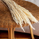 bottes-fleurs-sechees-flowrette-coloree-gramine-blanc