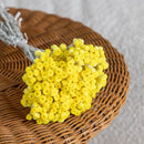 bottes-fleurs-sechees-flowrette-coloree-jaune-vif