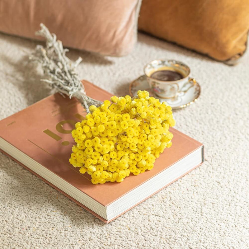 bottes-fleurs-sechees-flowrette-coloree-jaune-vif