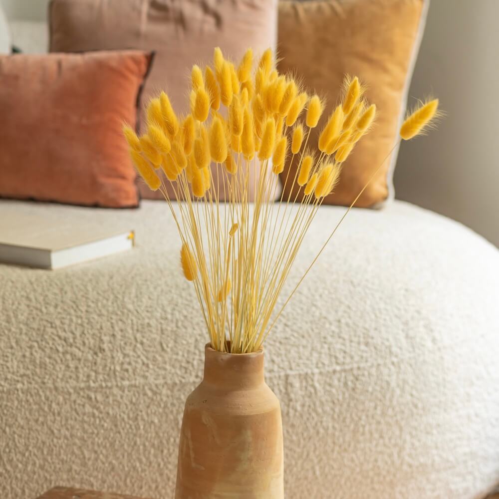 bottes-fleurs-sechees-flowrette-coloree-lagurus-jaune-clair