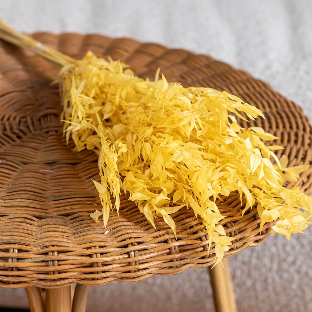 bottes-fleurs-sechees-flowrette-coloree-ruscus-jaune-pale