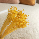 bottes-fleurs-sechees-flowrette-colores-glixia-jaune