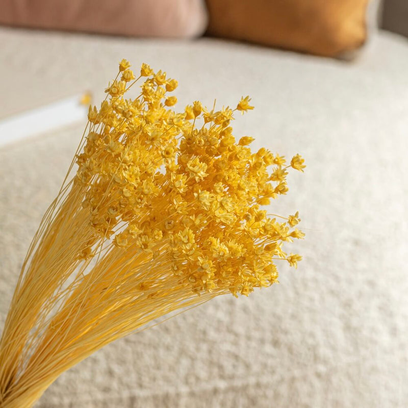 bottes-fleurs-sechees-flowrette-colores-glixia-jaune